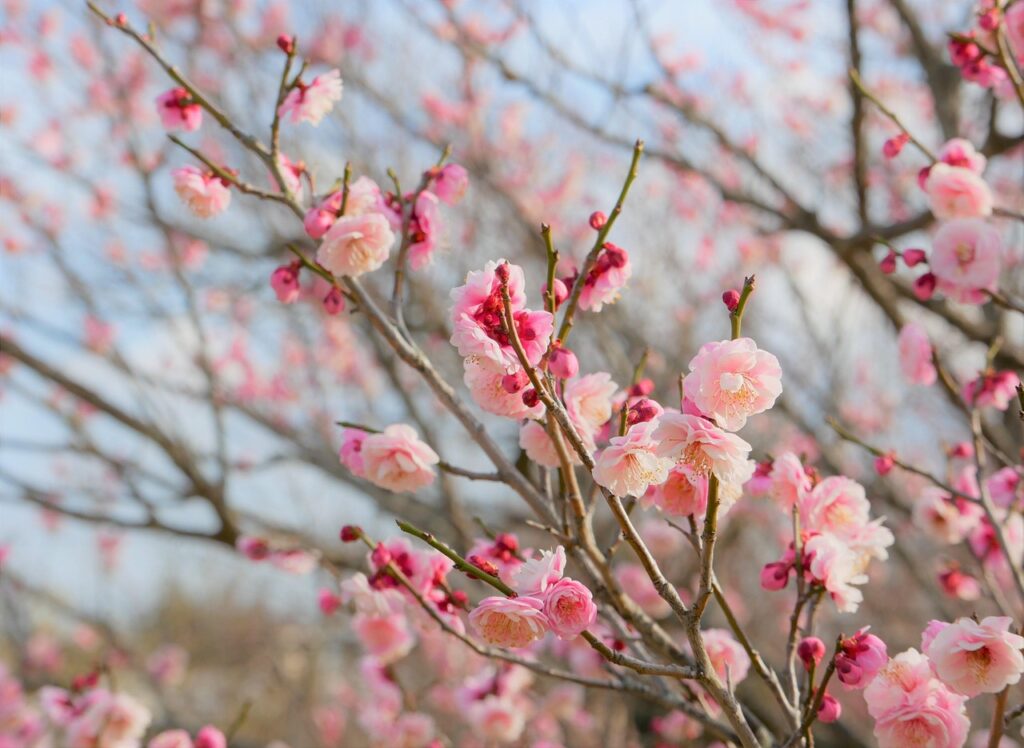 FP無料相談を受けるなら、どこが安心？