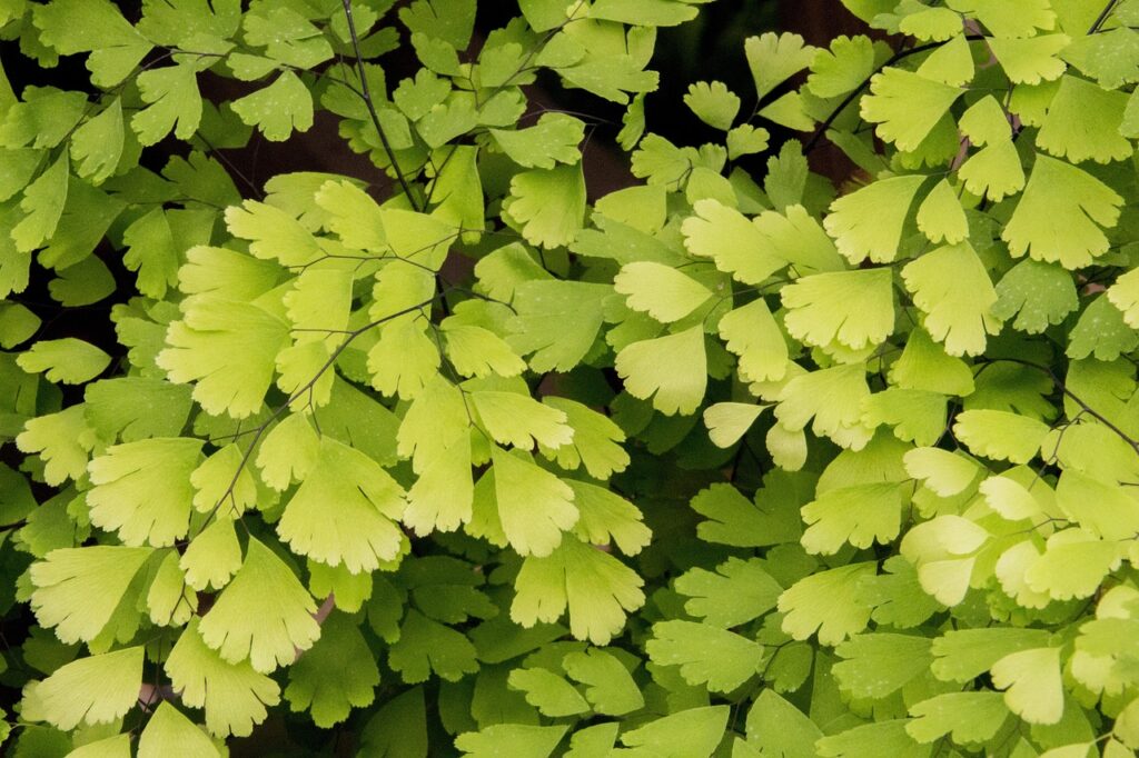 医療費、教育費、老後に備える優先順位はどう決めるべき？