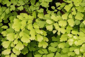 医療費、教育費、老後に備える優先順位はどう決めるべき？