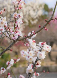 FPの無料相談はどこが安心で選ぶべきポイントは？