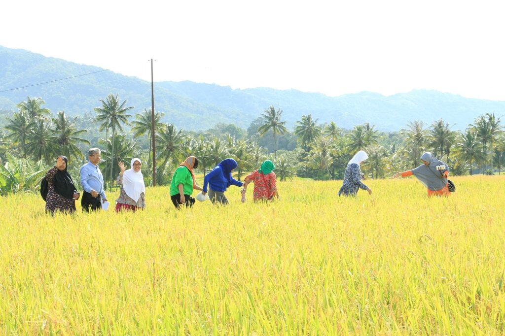 教育費がかかる時期に投資はできるのか？