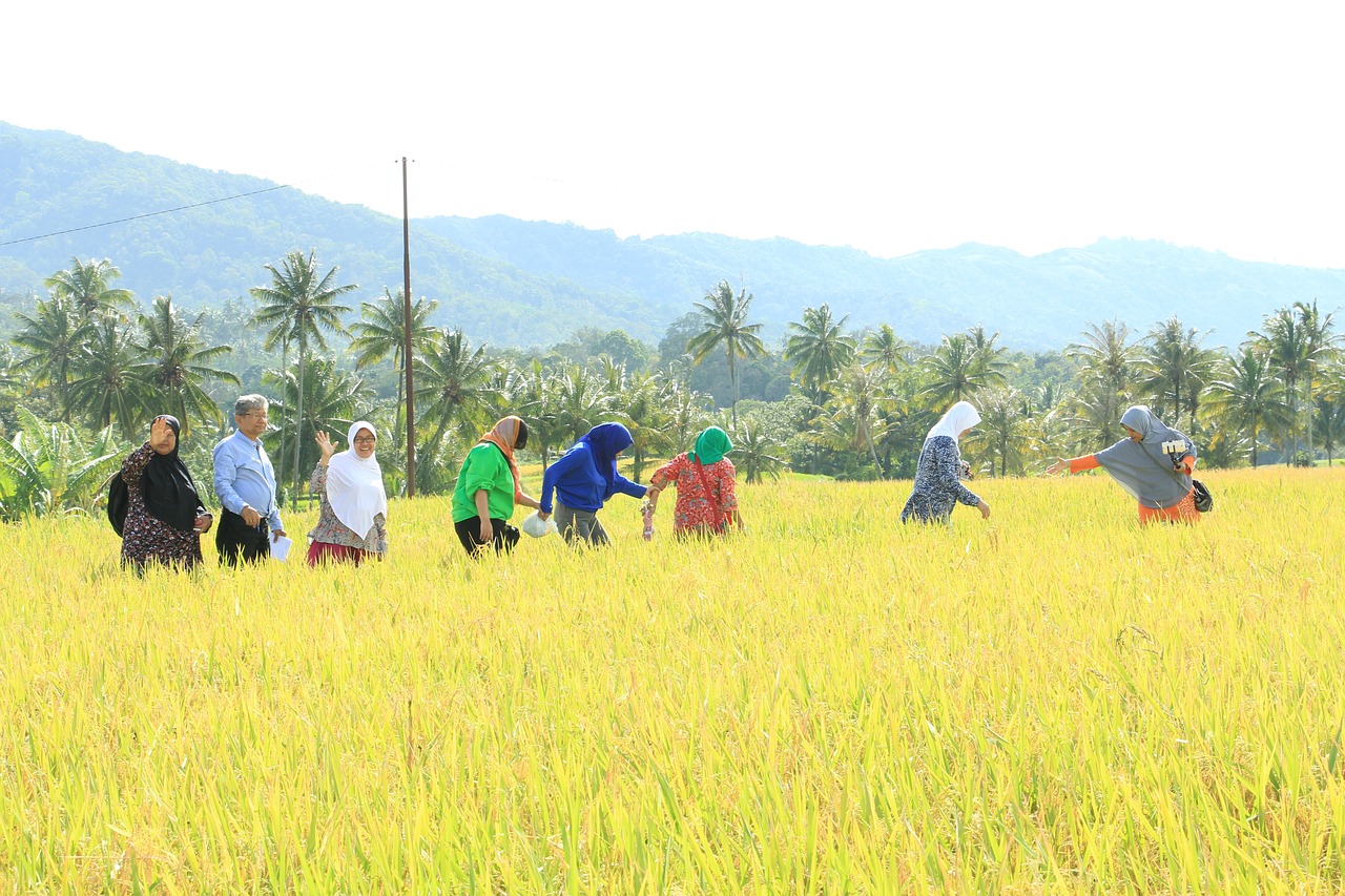 教育費がかかる時期に投資はできるのか？