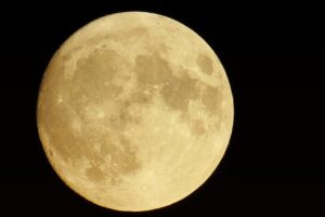 主婦が投資を始めるための0円スタート可能な方法は？