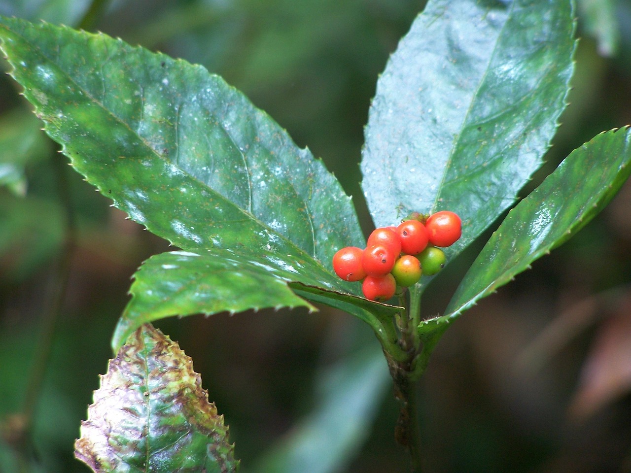 家計の赤字を立て直す方法は？