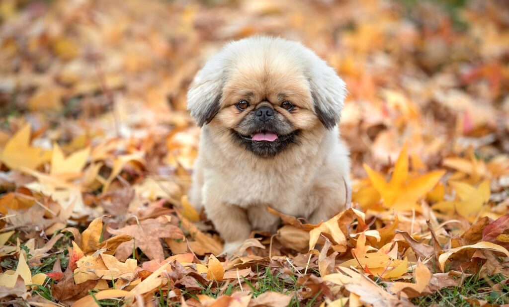 お金の知識がない女性が知っておくべき基本とは？