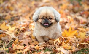 お金の知識がない女性が知っておくべき基本とは？